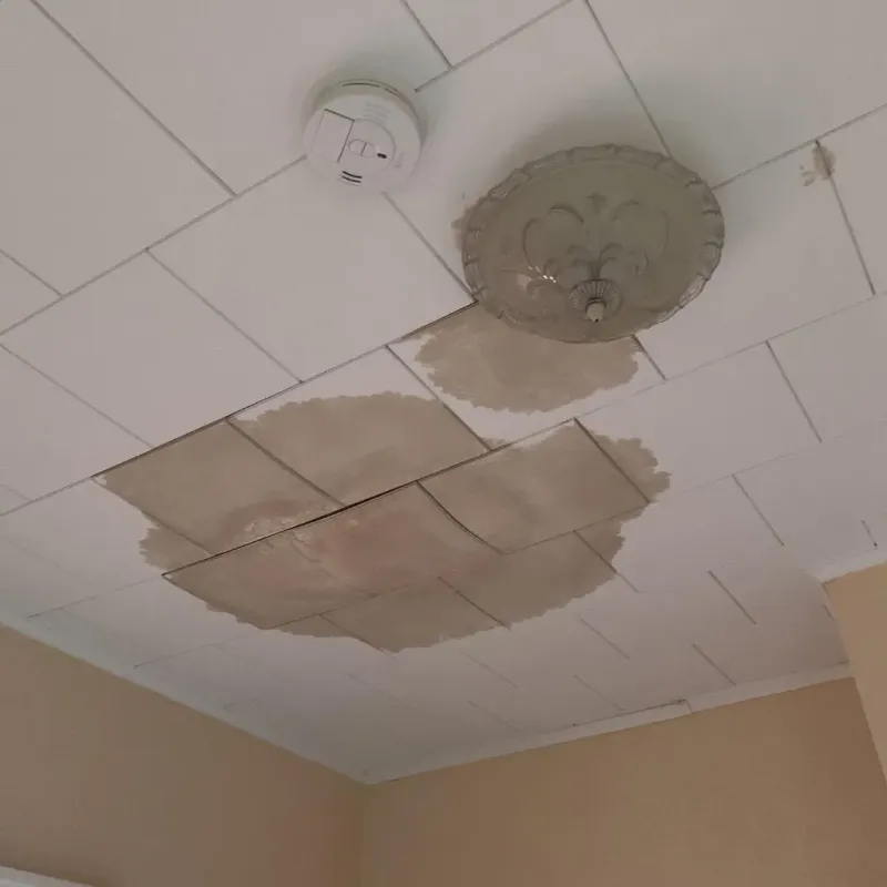 Ceiling Water Damage Repair in Killingly Center, CT
