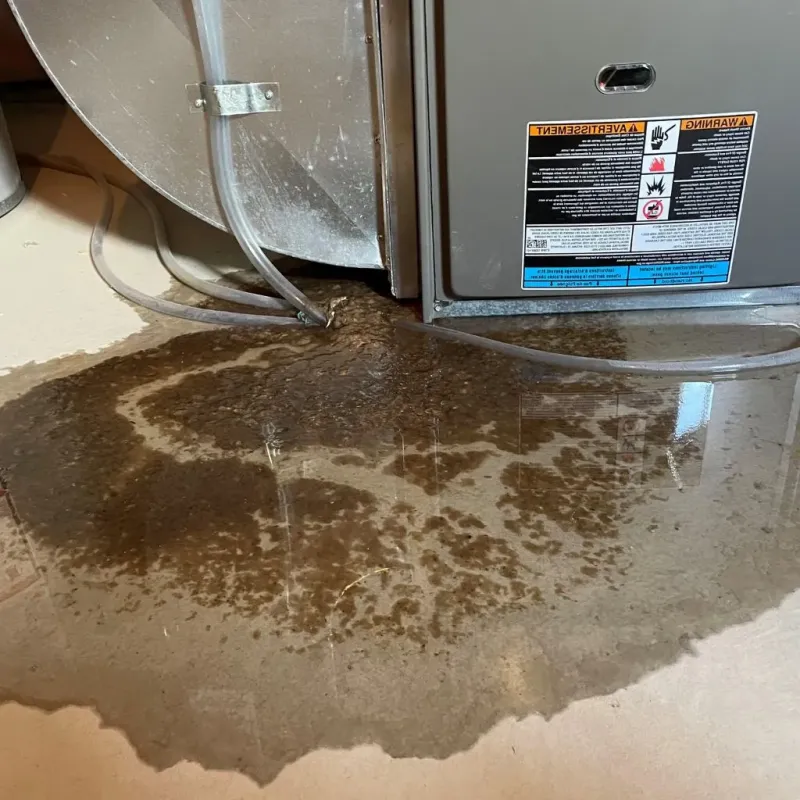 Pipe Burst and Leak Restoration in Killingly Center, CT