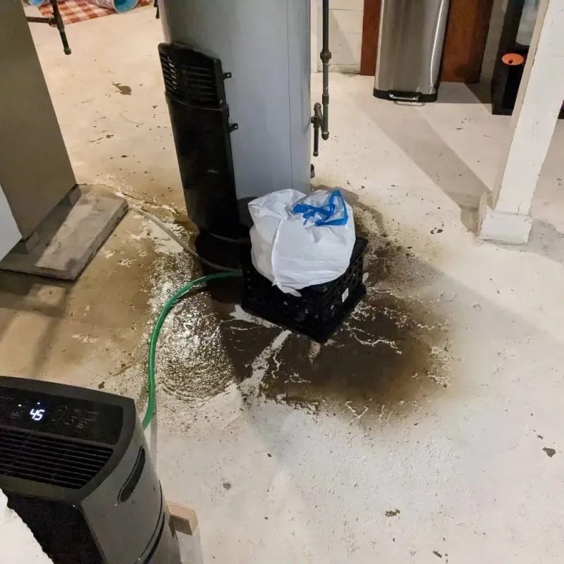 Sewage Backup Cleanup Service in Killingly Center, CT